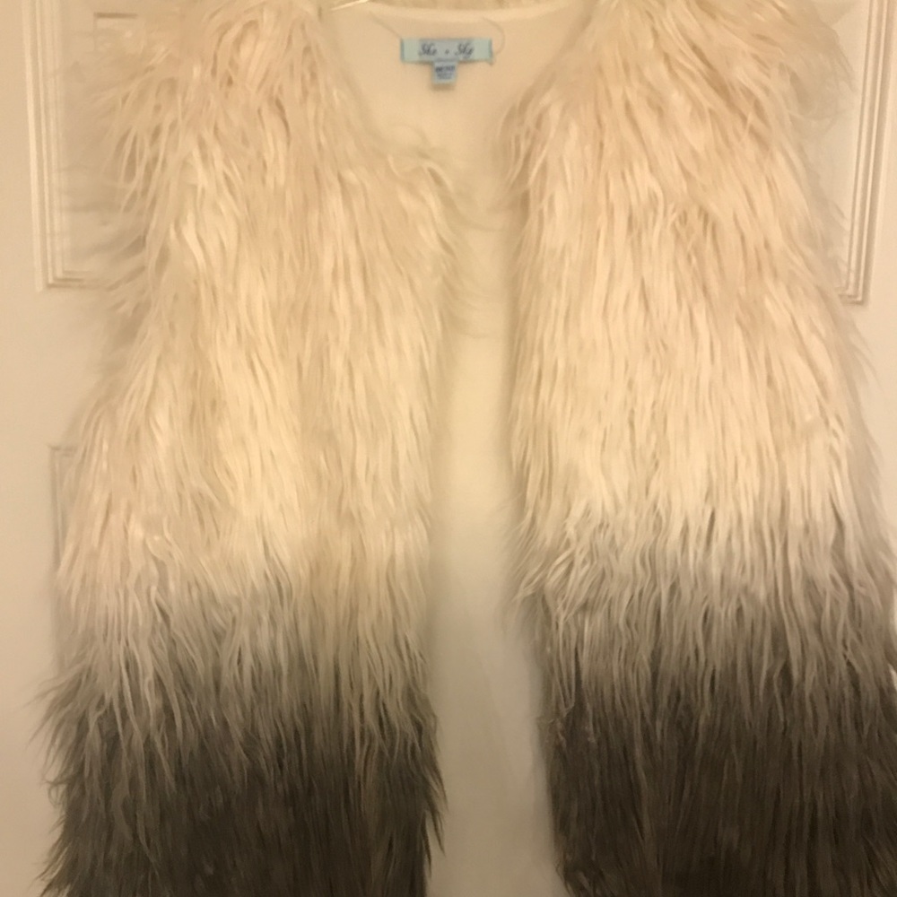Vest - Picture 2 of 2